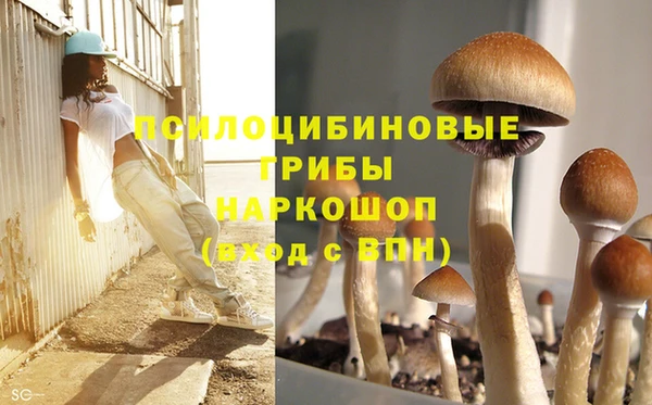 ALPHA PVP Вязьма