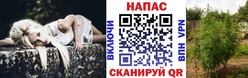 магазин продажи наркотиков  Серпухов  Каннабис VHQ 